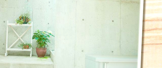 人気のある物件